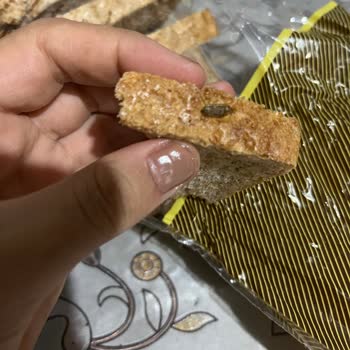 Aldığım Kepek Ekmeğin İçinden Böcek Çıktı, İlgilenecek Kimse Yok