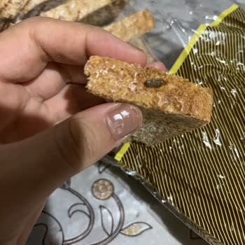 Aldığım Kepek Ekmeğin İçinden Böcek Çıktı, İlgilenecek Kimse Yok
