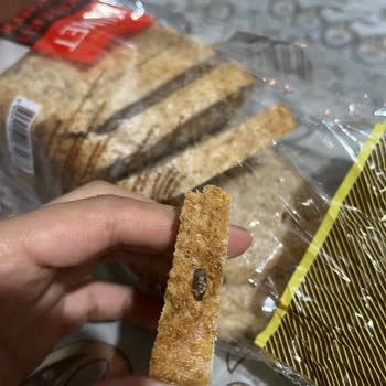 Aldığım Kepek Ekmeğin İçinden Böcek Çıktı, İlgilenecek Kimse Yok