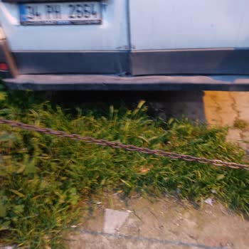 Aras Kargo Şoförünün Sokak Hayvanlarına Zarar Verici Davranışları