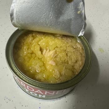 Dardanel Ton Balığında Şüpheli Beyaz Parçalar