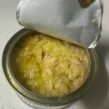 Dardanel Ton Balığında Şüpheli Beyaz Parçalar