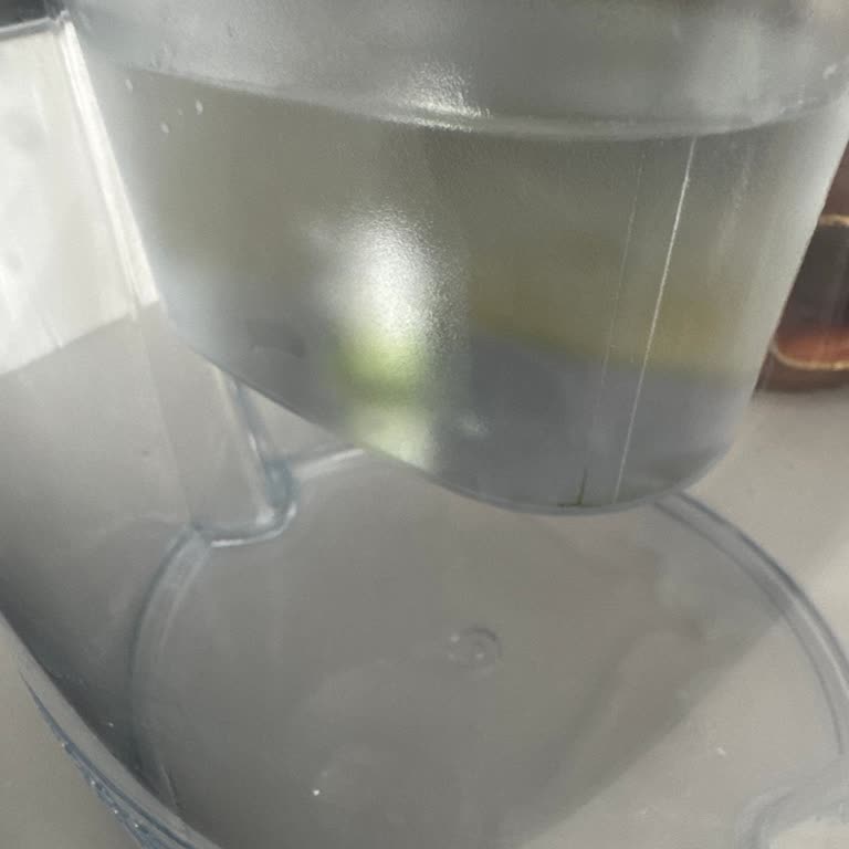 Brita Sürahinin İçindeki Yeşillik Çıkmıyor Çözüm Bulamıyorum