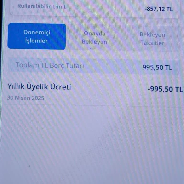 Kredi Kartı Üyelik Ücretinin İadesi Talebim