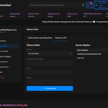 Havale İle Yatırdığım Bakiye Siteye Yansımadı, Destek Yanıt Vermiyor