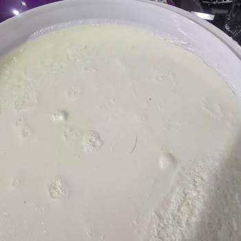 Dost Yoğurt Kapağını Açınca Çıkan Kıl Şok Etti, Açıklama Bekliyorum