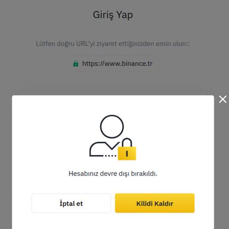 Yabancı Uyruklu Öğrencinin Binance TR'de Hesabının Uyarısız Kapatılması Ve Paraya Erişememesi