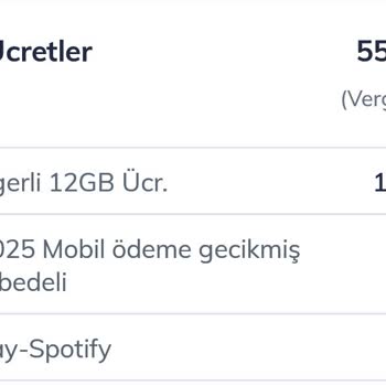 Faturama İzinsiz Spotify Ücreti Yansıtılıyor İade İstiyorum
