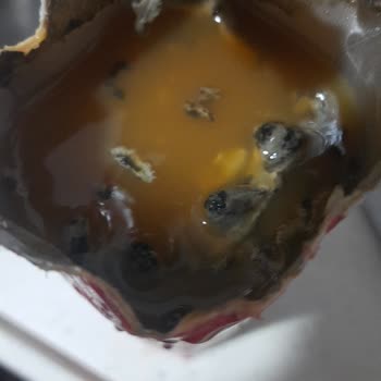 Dimes Ürününde Güven Sorunu Ve Denetim Eksikliği