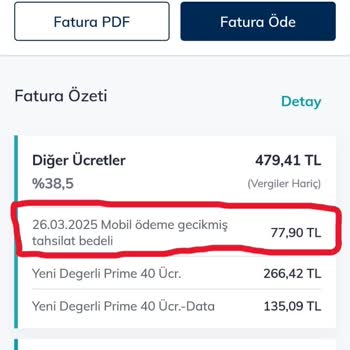 1 Gün Gecikmeye 77,90 TL Gecikme Bedeli Ve Yetersiz Müşteri Hizmetleri