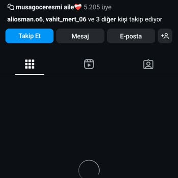 Instagram Üzerinden Hesabım Alındı Ve Geri Verilmiyor