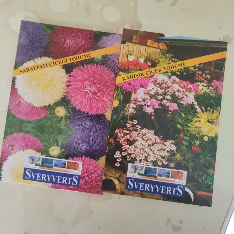 A101'den Aldığım Çiçek Tohumlarının Hiçbiri Filizlenmedi