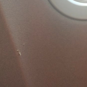 Ajet Uçağında Temizlik Sorunu Ve İlgisiz Personel Nedeniyle Yaşanan Mağduriyet