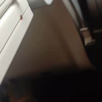 Ajet Uçağında Temizlik Sorunu Ve İlgisiz Personel Nedeniyle Yaşanan Mağduriyet