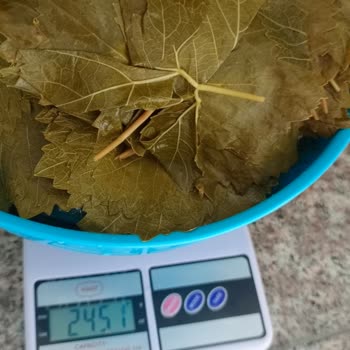 Favorim Yaprak 5 Kg Diye Yanılttı