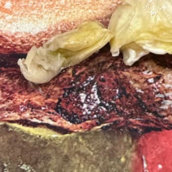 Burger King Şubesinde Hijyen Sorunu Ve Bozuk Ürünler