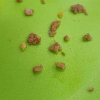 Kızılkayalar Hamburger İçinde Kıkırdak Ve Kemik Parçaları Çıktı