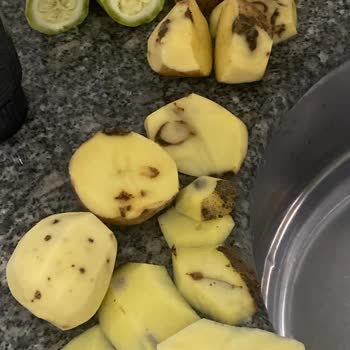 A101'den Aldığımız Kusurlu Ürünler Sağlığımızı Ve Bütçemizi Olumsuz Etkiledi