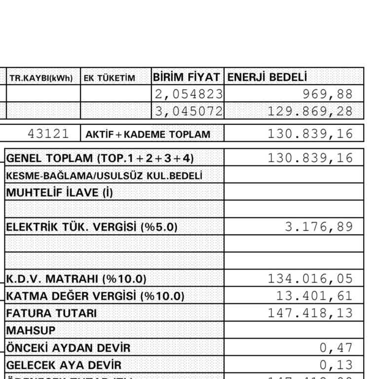 Fahiş Elektrik Faturası Ve Sürekli Kesinti Mağduriyeti
