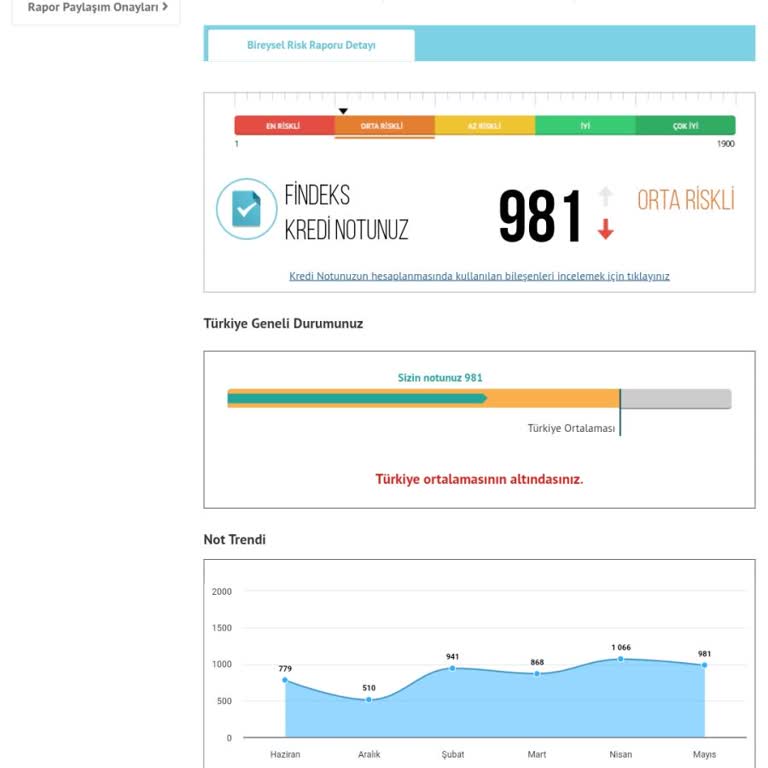 Düzenli Ödemelere Rağmen Findeks Puanım Düşüyor Ve Borç Görünüyor
