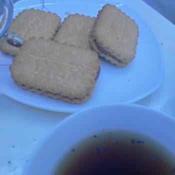 Eti Gıda Yanık ve Acı Pötibör Bisküviler