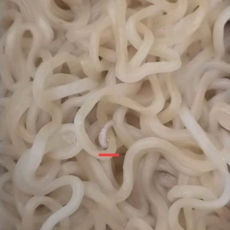 Hazır Noodle Paketinde Böcek Şoku
