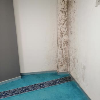 Otoyol Tesislerinde Yetersiz Hizmet Ve Bakımsızlık Şikayeti