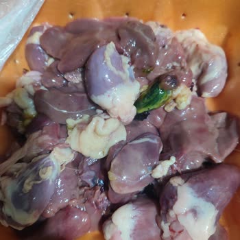 BİM'den Aldığım Tavuk Ciğerinde Yeşil Öd Şoku!