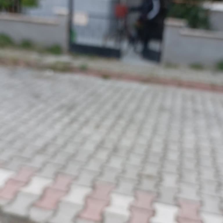 Spark 20 Pro Kamera Puslu Çekim Sorunu Acil Çözüm Bekliyorum