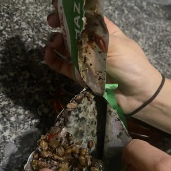 Yayla Bakliyat Son Kullanma Tarihi Geçmemiş Üründe Küf Ve Bozulma Şoku