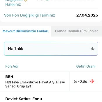 BES Fon Dağılımı Ve Sistemsel Hatalar Nedeniyle Büyük Kayıplar Yaşadım