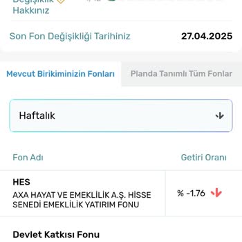 BES Fon Dağılımı Ve Sistemsel Hatalar Nedeniyle Büyük Kayıplar Yaşadım