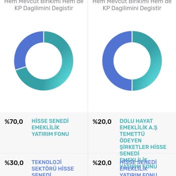 BES Fon Dağılımı Ve Sistemsel Hatalar Nedeniyle Büyük Kayıplar Yaşadım