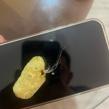 Cipsin İçinden Çıkan Yabancı Madde Sağlığımızı Tehdit Etti