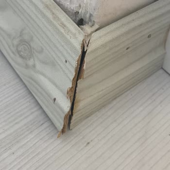 Yapılan Parkelerde Açılma Ve Şişme, Süpürgeliklerde Özensizlik