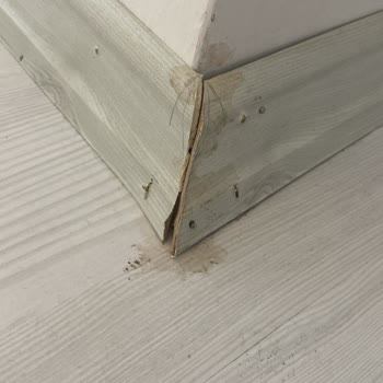 Yapılan Parkelerde Açılma Ve Şişme, Süpürgeliklerde Özensizlik