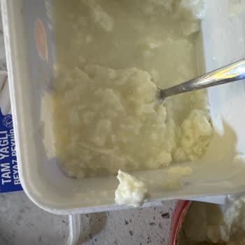Sek Tam Yağlı Beyaz Peynirde Koku Ve Kıvam Sorunu