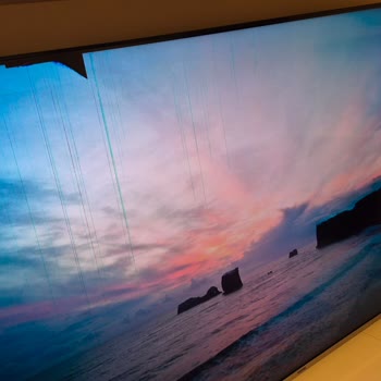 Vestel TV Panel Değişiminde Yetkili Servisler Arası 10.000 TL Fark Ve Çözüm Talebi