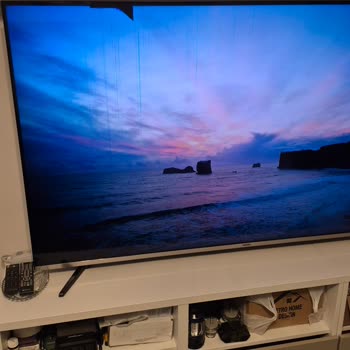 Vestel TV Panel Değişiminde Yetkili Servisler Arası 10.000 TL Fark Ve Çözüm Talebi