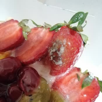 Anneme Gönderilen Pastada Küflü Çilek Şoku Ve İletişim Sorunu