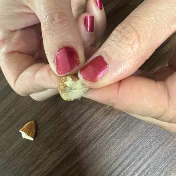 Peyman Çiğ Badem Paketinden Küflü Ve Tüylü Ürün Çıkması