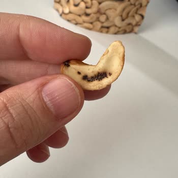 Çerezya Kajunun İçinden Kurt Çıkması Ve Hijyen Sorunu