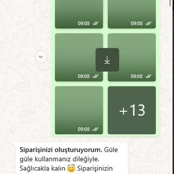 Sipariş Verdim, Ne Magnet Var Ne Para!