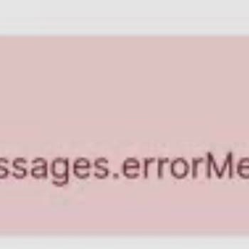 VFS Hollanda Vize Başvurusunda Randevu Ve Destek Sorunları Yaşıyorum