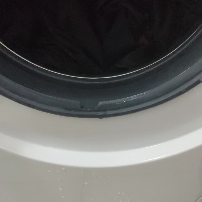 Bosch Çamaşır Makinesi Körük Lastiği 7 Ayda Koptu, Garanti Kapsamı Dışında Bırakıldı