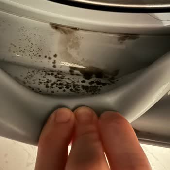 Çamaşır Makinesi Körük Lastiği Tekrar Küflendi, Yazılı Cevap Alınamıyor