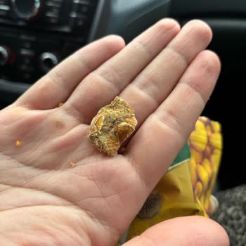 Aldığım Kaju Paketinden Yabancı Madde Çıktı, Kalite Kontrol Eksikliği Endişesi