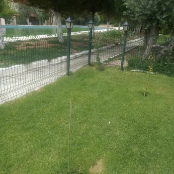 Aldığım Fidanlar Kurudu, Paramı Geri İstiyorum