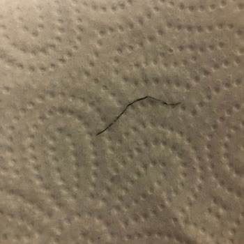 Tatlı Siparişimde Yabancı Madde Çıktı, Sağlık Riski Oluştu