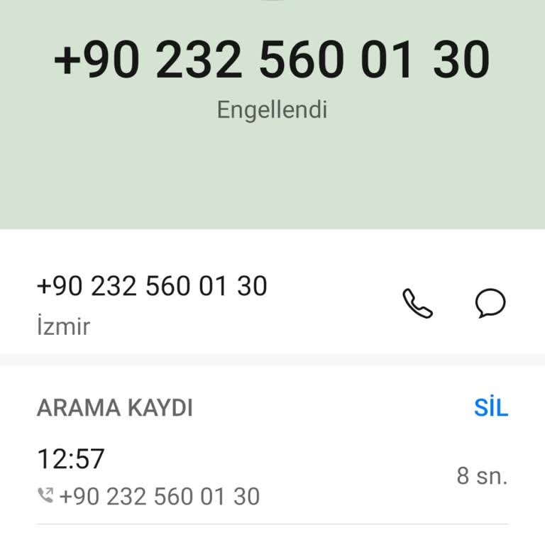Ses Kaydım Kullanılarak Yapılan İşlemlere Karşı Şikayetçiyim
